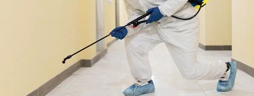 ongediertebestreiding